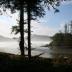 Tofino